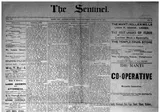 Manti Home Sentinel