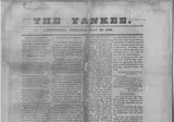 The Yankee