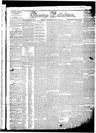 Record image of Levinus Engle