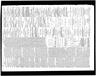 Record image of Mary Clinton (nascida Dewitt)