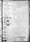 Record image of Michaelis Hallenstein