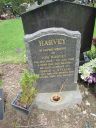 Record image of Tom Harvey