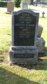 Record image of John Fawcett