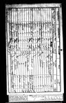 Record image of Elizabeth Slamon