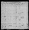 Record image of Milos Rosic