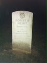 Record image of Robert A Nesbit