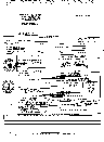Record image of Marisa Nicole Moon (Patterson)