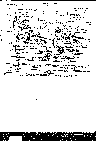 Record image of Robin Anthony Gonzalez