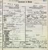 Record image of Rose Stein