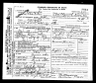 Record image of Ammi Holdridge Adler