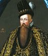 Johan vasa