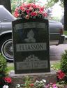 Georg eliasson