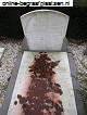 Cornelia timmer