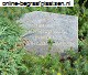Record image of Elisabeth Alida Ouwerkerk